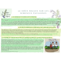 10_ides_fausses_sur_les_semences_vignette