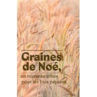 graines_de_noe_recto