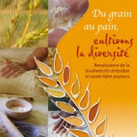 min-du-grain-pain_245145432