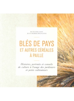 vignette_bles_de_pays