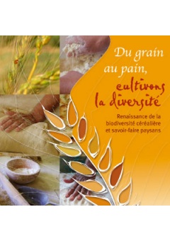 min-du-grain-pain_245145432