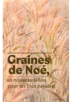 graines_de_noe_recto