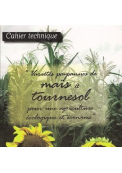 min-varietes-paysannes-mais-tournesol-agriculture-ecologique-econome