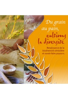 min-du-grain-pain_245145432