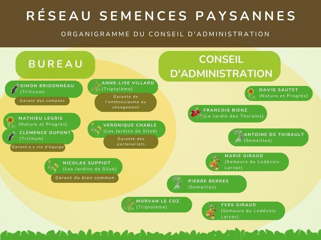 Organigramme RSP