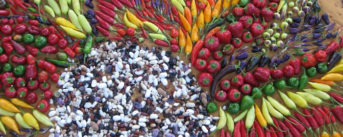 Mandala de légumes au Potager d’un Curieux (crédits: Semeurs du Lodévois Larzac)