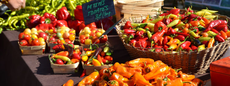 Stand Potager Curieux