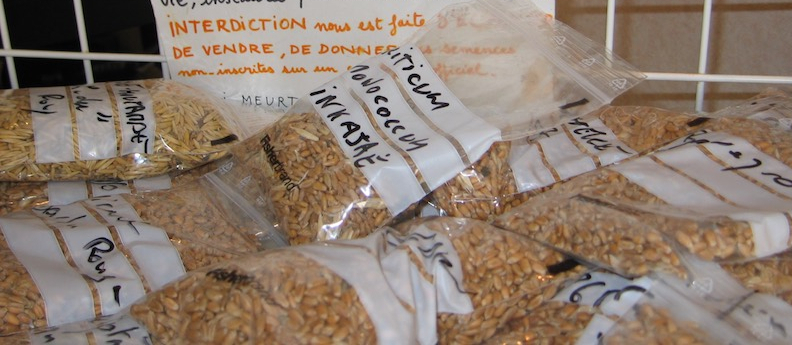 Réseau Semences Paysannes - Commercialisation des semences et plants