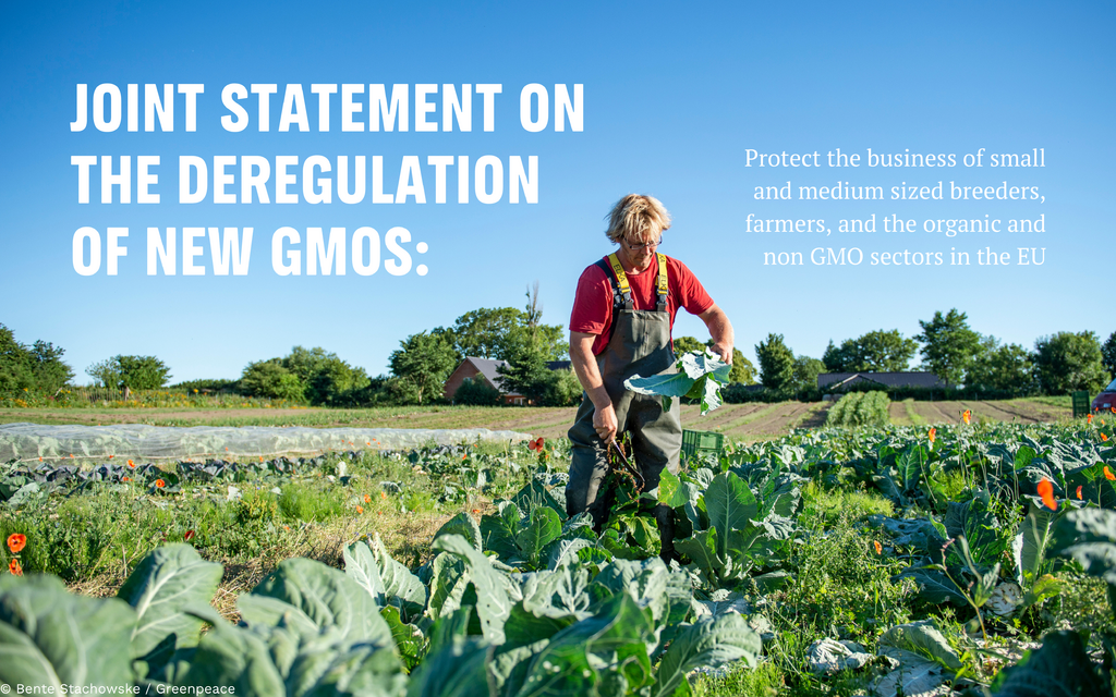 4c683b5a gmos jointstatement website graphic 1024x640