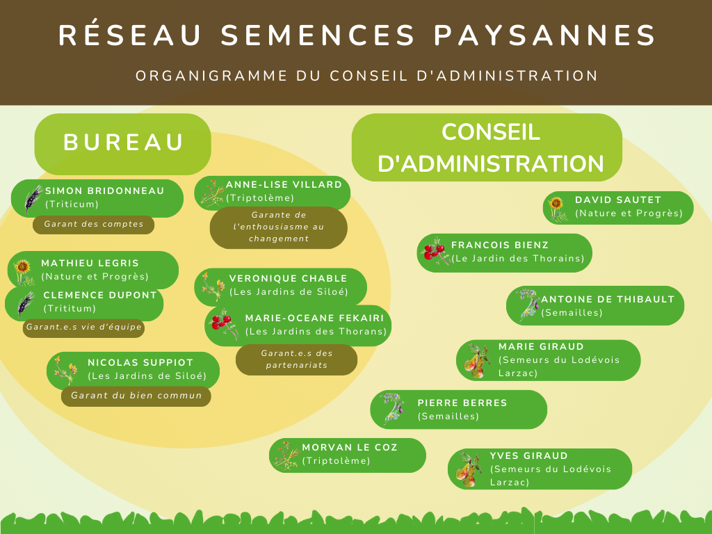Organigramme RSP
