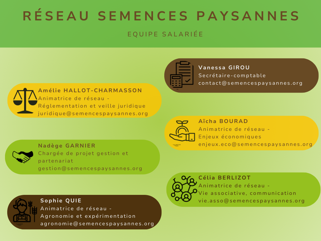 Organigramme RSPequipe