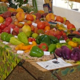 variete_legumes_4