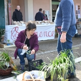 Trocdeplants2024_L-Del (9)